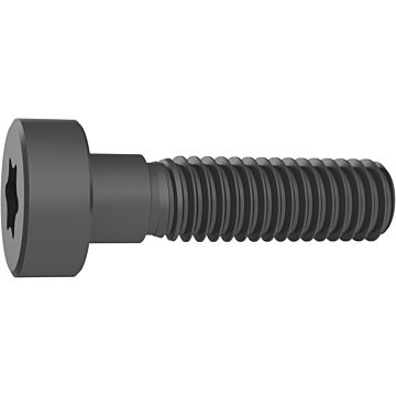 Śruby mocujące Torx-Plus Śruby mocujące Torx-Plus